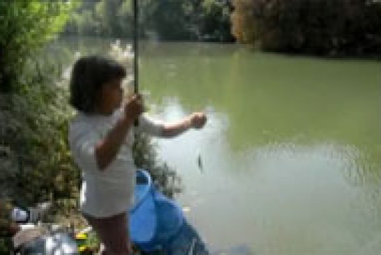 En Pamplona se impartirá un curso de pesca para niños y jóvenes de 6 a 18 años