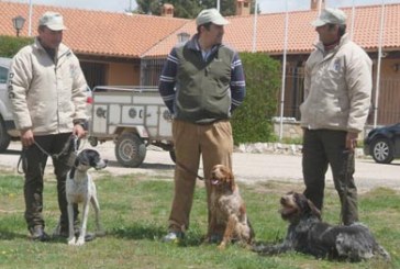 Avance del programa del «Aula Canina» de la Escuela Española de Caza para 2011