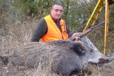 Arranca la temporada del jabalí con más jornadas y buenas expectativas