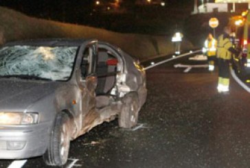 El atropello de un jabalí provoca un accidente mortal en la A-8