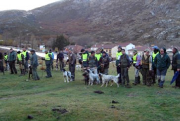 La sierra abulense vuelve a ser escenario de la final regional de caza menor con perro