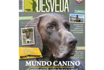 Nuestra revista dedica el mes de enero al mundo canino