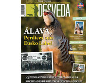 El nuevo número de nuestra revista ya está en la calle