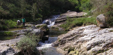 Red Cambera imparte hoy una charla sobre conservación piscícola en los ríos cántabros