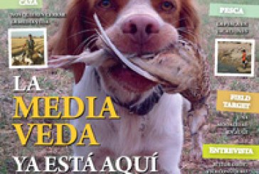 La media veda centra nuestra revista Desveda/Adecap del mes de agosto