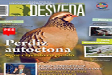 La revista Desveda de diciembre ya está en la calle