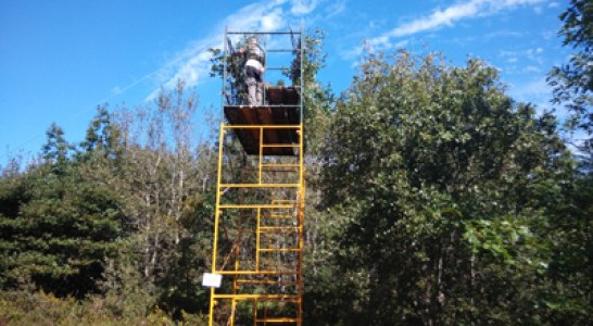 PODEMOS Gipuzkoa propone prohibir la caza en el área de Herriondo-Gaintzurizketa