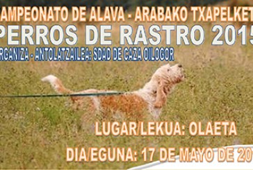 Campeonato de Álava de Perros de Rastro