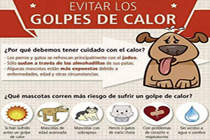 ¡Cuidado con los golpes de calor!