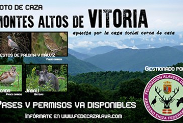 Abierto el plazo de adjudicación directa para pases de becada en el coto montes Altos de Vitoria