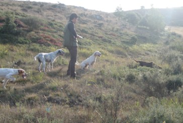 La Diputación de Bizkaia renueva los permisos en la zona de Ispaster