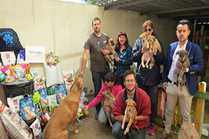 ???Jóvenes por la caza??? finaliza con gran éxito su campaña benéfica solidaria por los perros abandonados