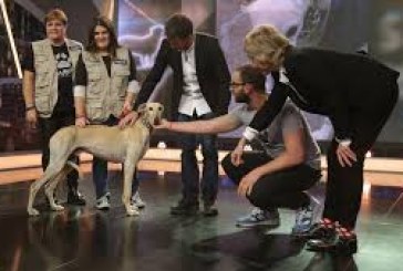 EL HORMIGUERO VUELVE A METER LA PATA