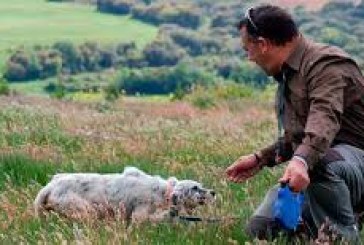 El perro es un deportista nato al que no se le puede descuidar