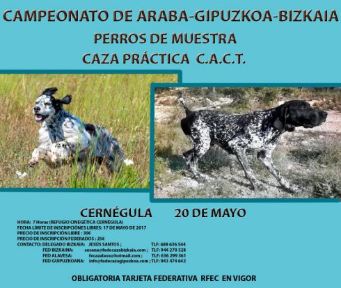 CAMPEONATO DE ALAVA-BIZKAIA-GIPUZKOA DE PERROS DE MUESTRA CAZA PRACTICA C.A.C.T