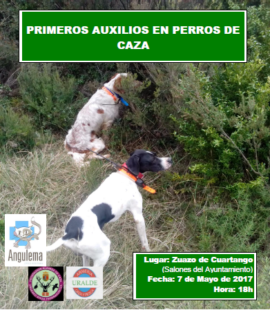 La Federacion Alavesa de caza organiza un nuevo curso de primeros auxilios caninos