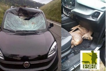 Espectacular accidente de tráfico