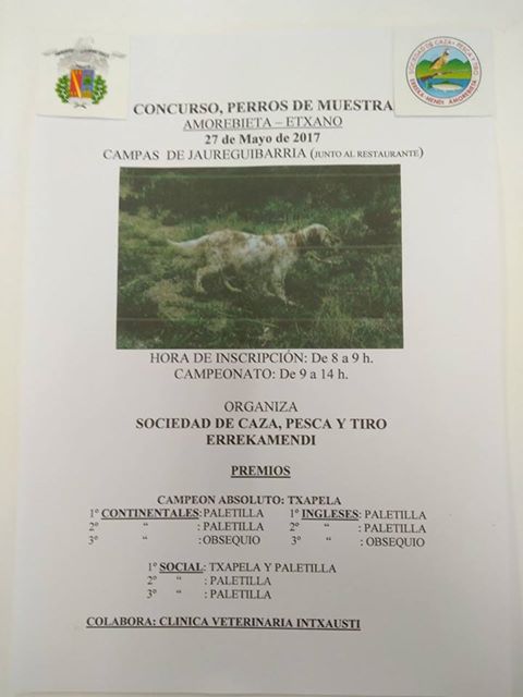 Mañana sábado Concurso de Perros de Muestra en Amorebieta