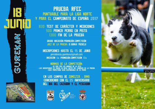 Domingo,18 de Junio Prueba Agility Liga Norte