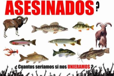 Los cazadores y pescadores vuelven a ver pisoteadas sus reivindicaciones en el Congreso