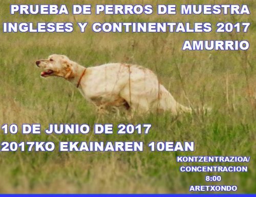 10 junio prueba de perros de muestra en Amurrio