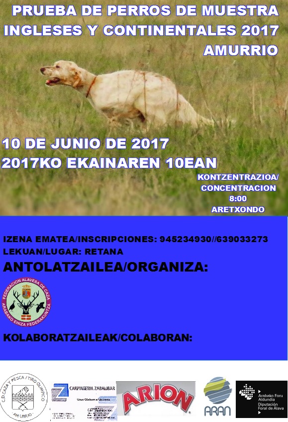 campeonato perros de muestra aretxondo