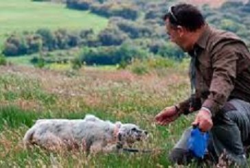 El perro requiere preparativos y cuidados específicos de cara a la próxima media veda