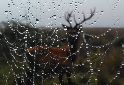 Foto del Dia: Feliz equinoccio de otoño