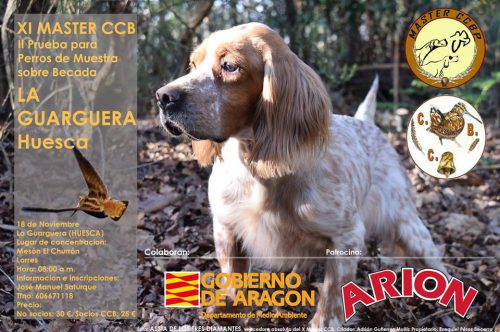 Aragón: XI Master CCB. 18 de noviembre – II Prueba para perros de muestra sobre becada