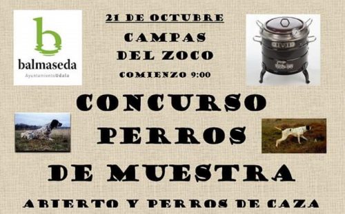 Bizkaia: 21 de octubre Concurso de perros de muestra en Balmaseda