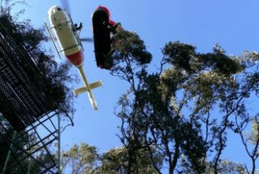 Gipuzkoa: Cazador rescatado en el monte Arno