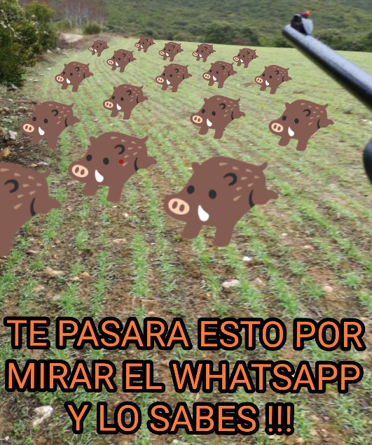 Humor. Caza y whatsapp ¡Atento a los jabalíes!