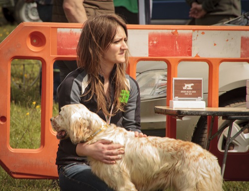 La RFEC exige a los animalistas que dejen de mentir sobre el abandono de perros de caza