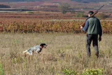 La Rioja. Ayudas a la vigilancia de cotos de caza