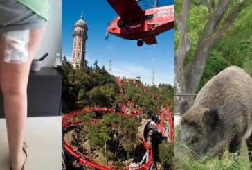 Un jabalí ataca a una familia en el parque de atracciones del Tibidabo