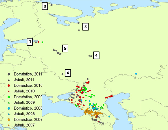 Fig. 1: Brote de PPA ocurridos entre 2007 y el 7 de Noviembre de 2011 en Rusia y los países caucásicos (Fuente: elaboración propia con datos de la Organización Mundial de Sanidad Animal, 2011).