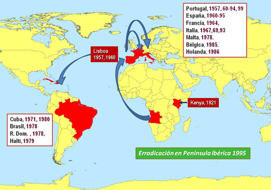 Fig.1: Epidemiología de la PPA desde 1957 hasta 1995