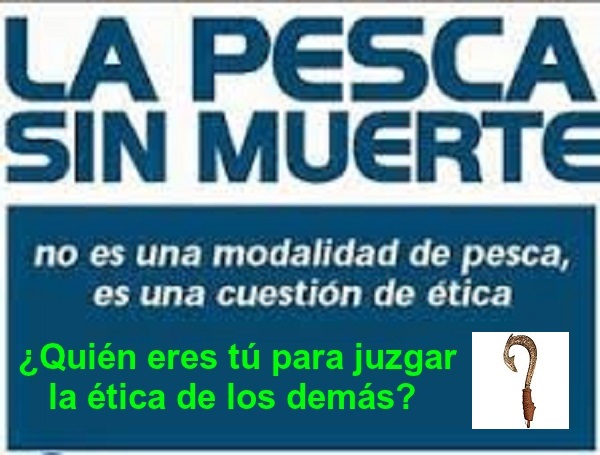 Es La Pesca Sin Muerte Tan Ecologica Como Nos Dicen Desveda