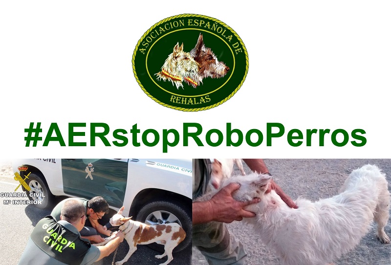 Asociación Española de Rehalas: Stop robo de Perros