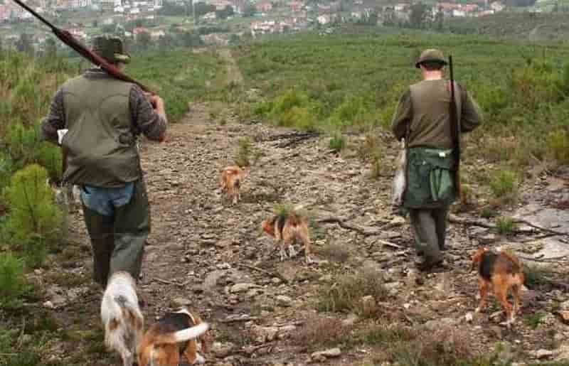 Agricultores ven la nueva ley de caza de CyLeón “muy negativa” por la atribución de la responsabilidad en los daños ocasionados por especies cinegéticas