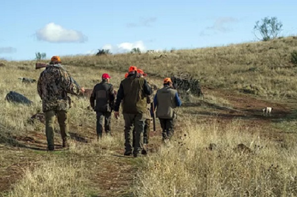 La caza y pesca podrían separarse del resto de políticas forestales