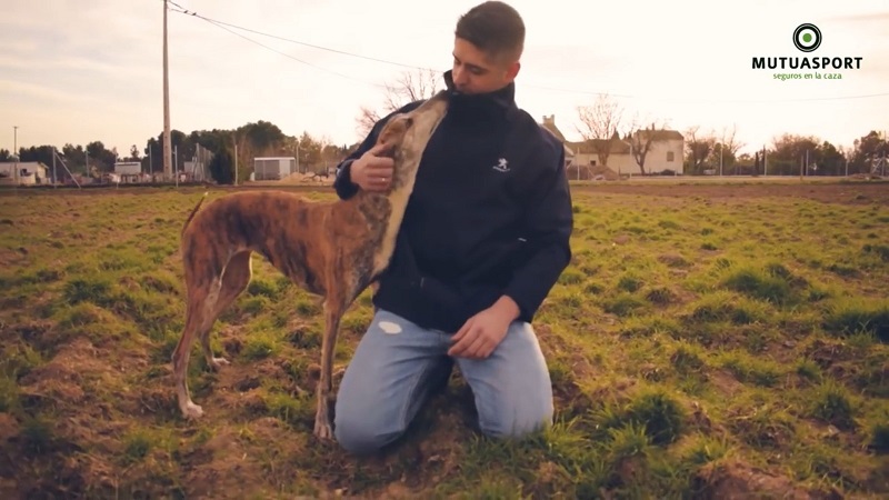 Indignación en el sector cinegético por la censura de Facebook a un documental sobre el abandono de perros de caza