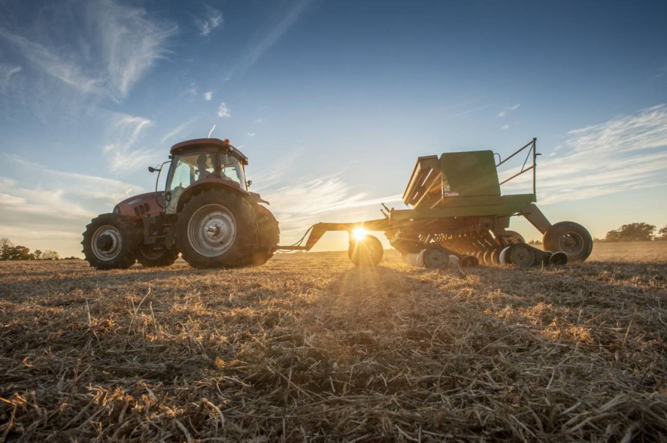 La crisis del coronavirus demuestra que agricultura y ganadería son sectores fundamentales