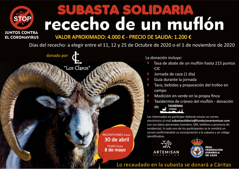 Fundación Artemisan subasta un rececho de muflón para recaudar fondos para la campaña solidaria lanzada con la RFEC