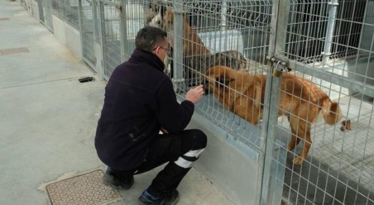 Entidades de todo el país se reúnen para mostrar su rechazo ante la Ley de Protección Animal y el RD de Núcleos Zoológicos