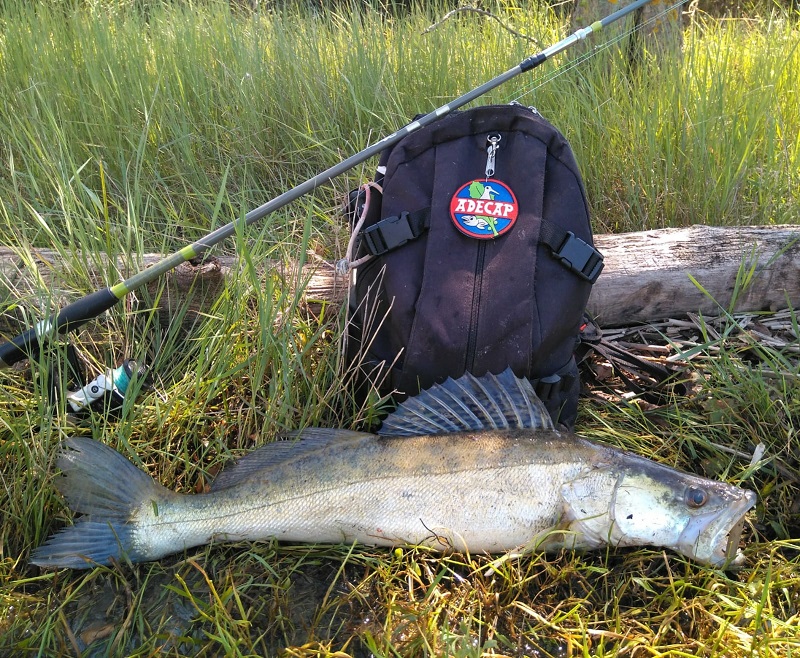 Los aficionados a la pesca vuelven al pantano