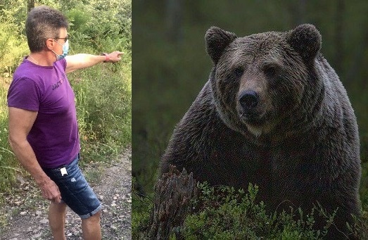 Oso ataca a un paseante en un pueblo de León