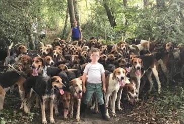 ¿Por qué deben participar los cazadores en la Ley de Bienestar Animal?