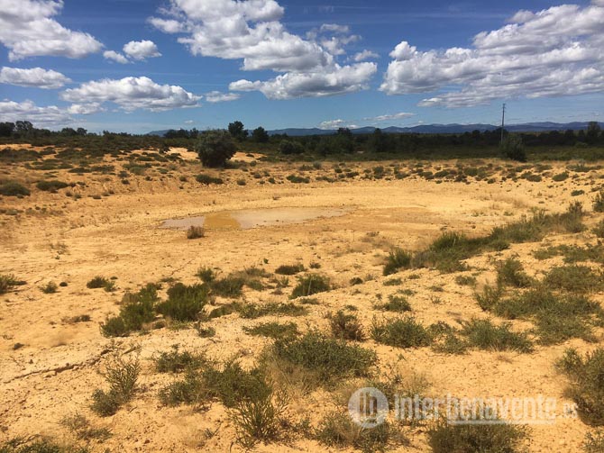 Denuncian al coto de caza de Junquera y la Milla de Tera por suministrar agua a la fauna silvestre