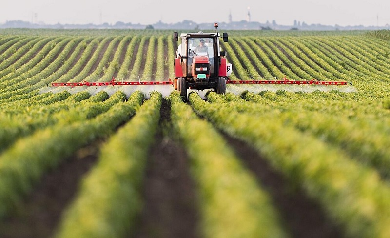 La sanidad vegetal, un potente instrumento frente al desperdicio alimentario